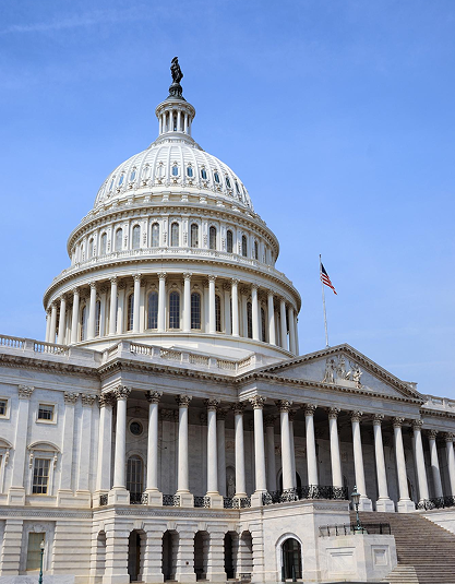 Government